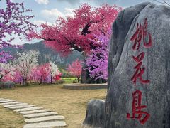 -靖西鹅泉风景区
