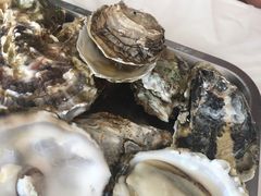 -渔民船说·北塘海鲜·天津菜·海肠捞饭(北塘古镇店)