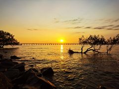 -宝安西湾红树林湿地公园