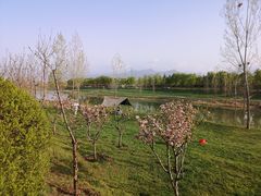 -洨河生态公园