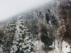 -西岭雪山大飞水景区