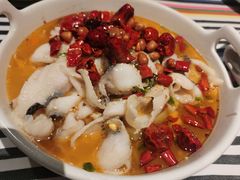 -Aqua Oasis 水天堂(相城天虹商场店)