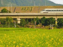 -光明小镇欢乐田园