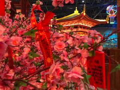 -万达茂商场(南京仙林店)