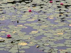 -白鹭湾湿地公园