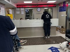 -申普宠物医院·心脏介入·心血管微创(总院)
