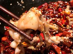 -成都娃娃花园餐厅 (南艺旗舰店)