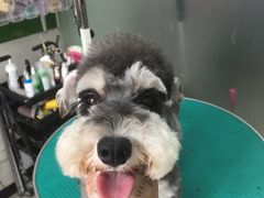 -天雅宠物(绿岛苑店)