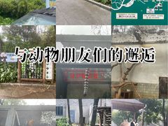 -柳州市动物园