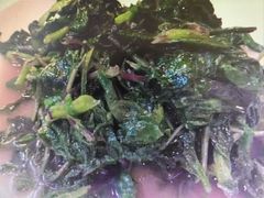 -石马湾山里菜