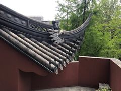 -上海白云观