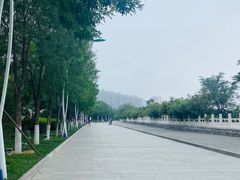 -永定河休闲森林公园