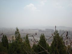 -府君山公园