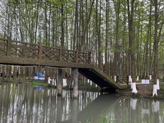 -桤木河湿地公园