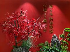 -米桃-吴韵风雅·拙园(北外滩来福士店)