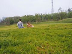 -面包谷Grains n' Beans(九号公馆店)