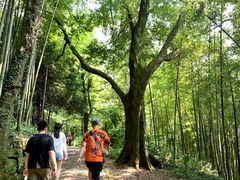 -西湖风景区十里琅珰-五云山