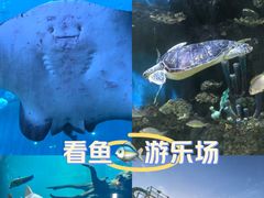 -华夏文旅海洋公园