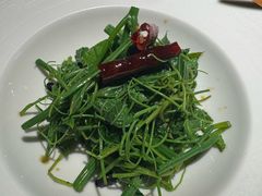 木姜子油拌苗菜-庆春朴门