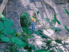 -渭南桃花源民俗文化园