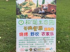 -松山湖梦幻百花洲