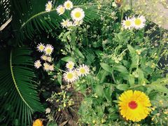 -龚家花园农家乐休闲别墅