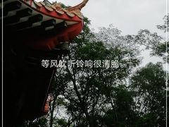 -红花山公园