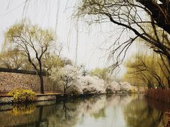 -颐和园