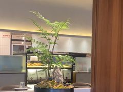 -千日贺茶餐厅(高新万达店)