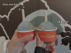-Dal Cuore 达可芮冰淇淋(陕西北路店)
