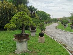 -上海海湾国家森林公园