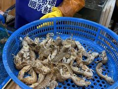 -北京市劳动人民文化宫(太庙)