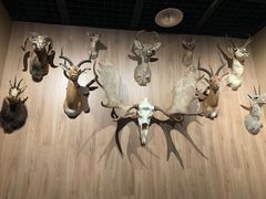 -陕西自然博物馆