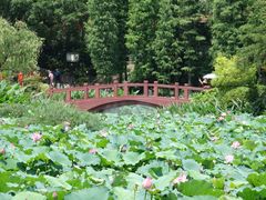 景点-广州莲花山旅游区
