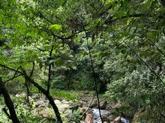 -西岭雪山大飞水景区