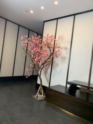 -凤绫儿亲子儿童摄影馆(上海店)