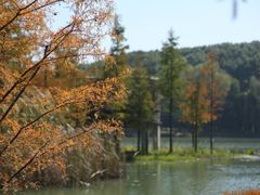 -昆山城市生态森林公园