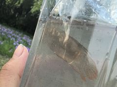 -贡湖湾湿地公园
