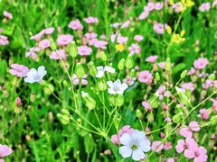 -水上乐园·欢乐世界