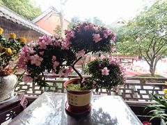 -钱王祠