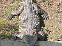 -南京金牛湖风景区