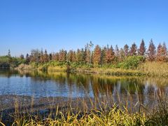 -溱湖国家湿地公园