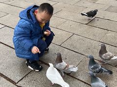 -龙口南山旅游景区