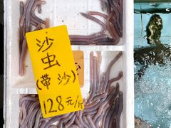 -寻味顺德·南记酒家·传统顺德菜·鱼生(广源路店)