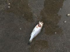 -嵊泗基湖沙滩