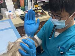 -美联众合动物医院·24h转诊中心