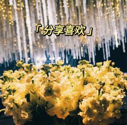 -浙江1+1主持人工作室