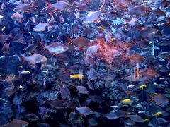 -成都浩海立方海洋公园