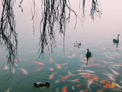 -东部华侨城