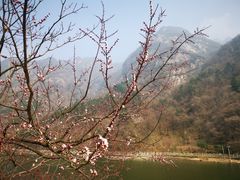 -秦岭终南山世界地质公园翠华山景区